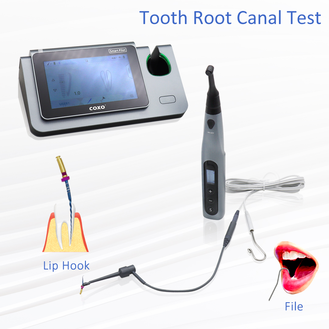 COXO Smart Endo Motor C-SMART  – Dental Endo Motor Apex Locator Bewertung und Preis