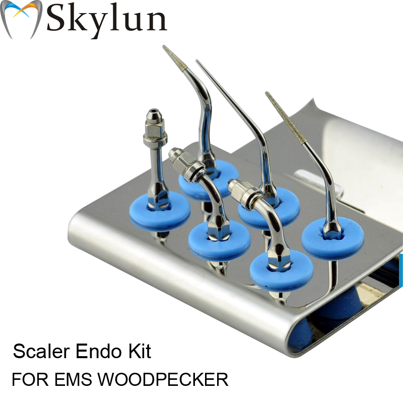 Dental Ultraschall-Scaler-Spit – Dental Ultrasonic Scaler Bewertung und Preis
